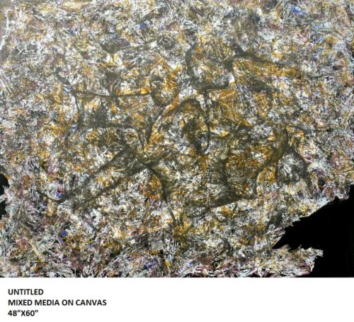 Untitled, Mixed Media on Canvas,Size- 48x60 inches