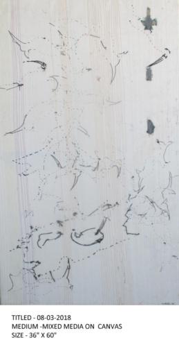 08-03-2018,Mixed Media on Canvas, size - 48 X 60 Inches,