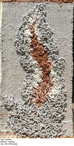 Untitled,Medium - Tapestry ,Size - 39 x 78 inches